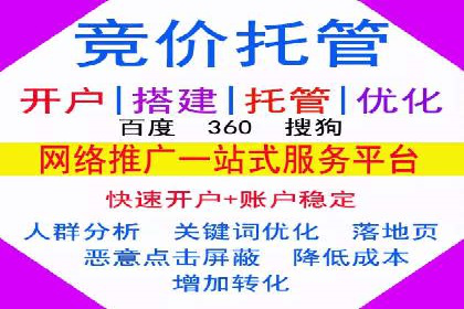 SEM代运营经典案例解析与启示